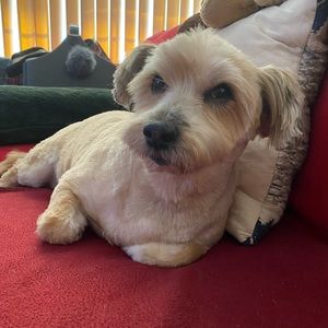 Meet your Posher, Elaine